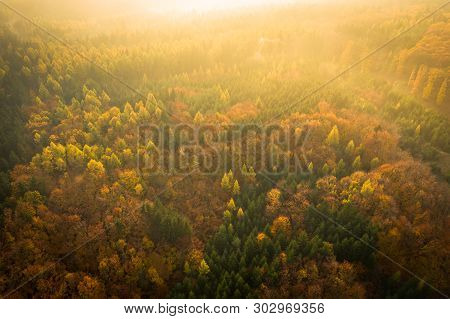Voderady Beechwood Is A National Nature Reserve. There Are Natural Beech Forests On Relatively Acidi