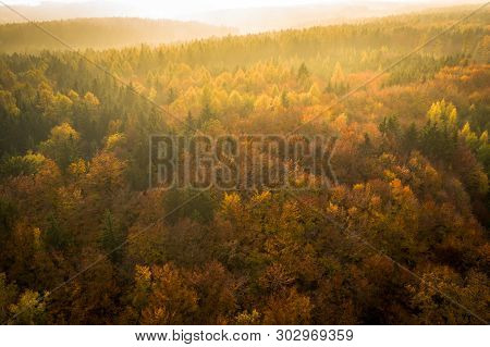 Voderady Beechwood Is A National Nature Reserve. There Are Natural Beech Forests On Relatively Acidi