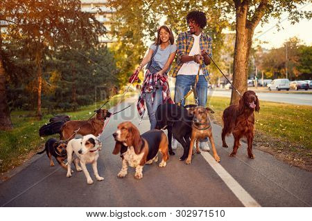 Happy woman and man dog walker with dogs enjoying in walk outdoors.