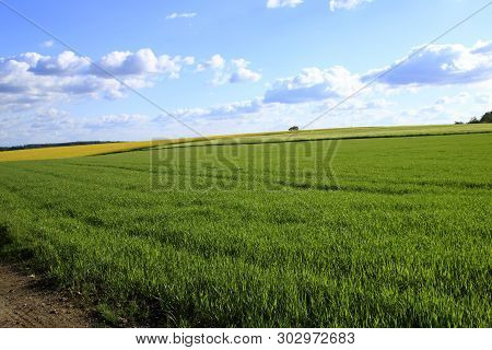 Beautiful Meadows And Fields In The Heckengau At Weissach