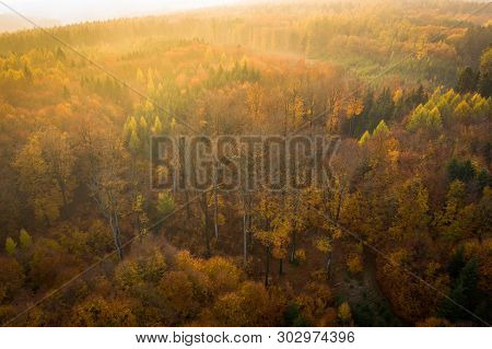 Voderady Beechwood Is A National Nature Reserve. There Are Natural Beech Forests On Relatively Acidi