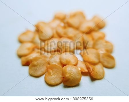 A Picture Of Chili Seeds On White Background