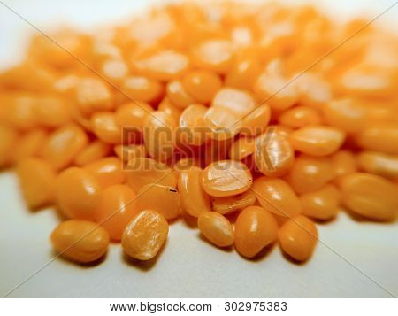 A Picture Of Lentil On White Background