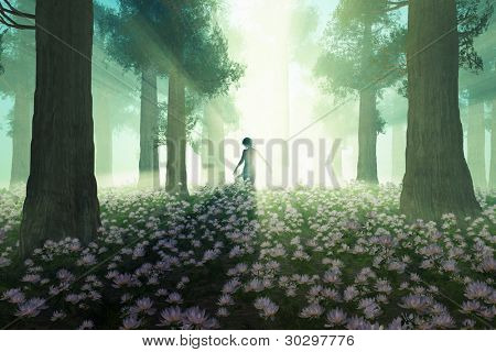 Frau in den Morgen-Wald