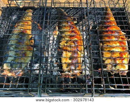 Fish Baked On The Fire On The Lattice