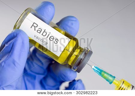 Hands In Blue Gloves Are Typing A Yellow Vaccine In A Syringe. Rabies Vaccination Concept. Close-up,