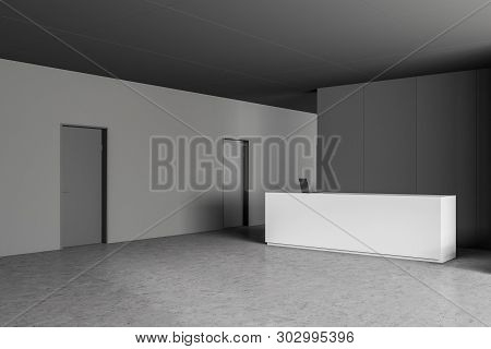 White Reception In Gray Office Lobby With Doors