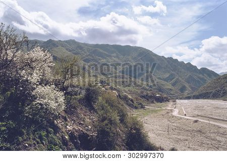Blossoming Trees With Mountain And Withered River Bed  View In Rural Area Of Azerbaijan