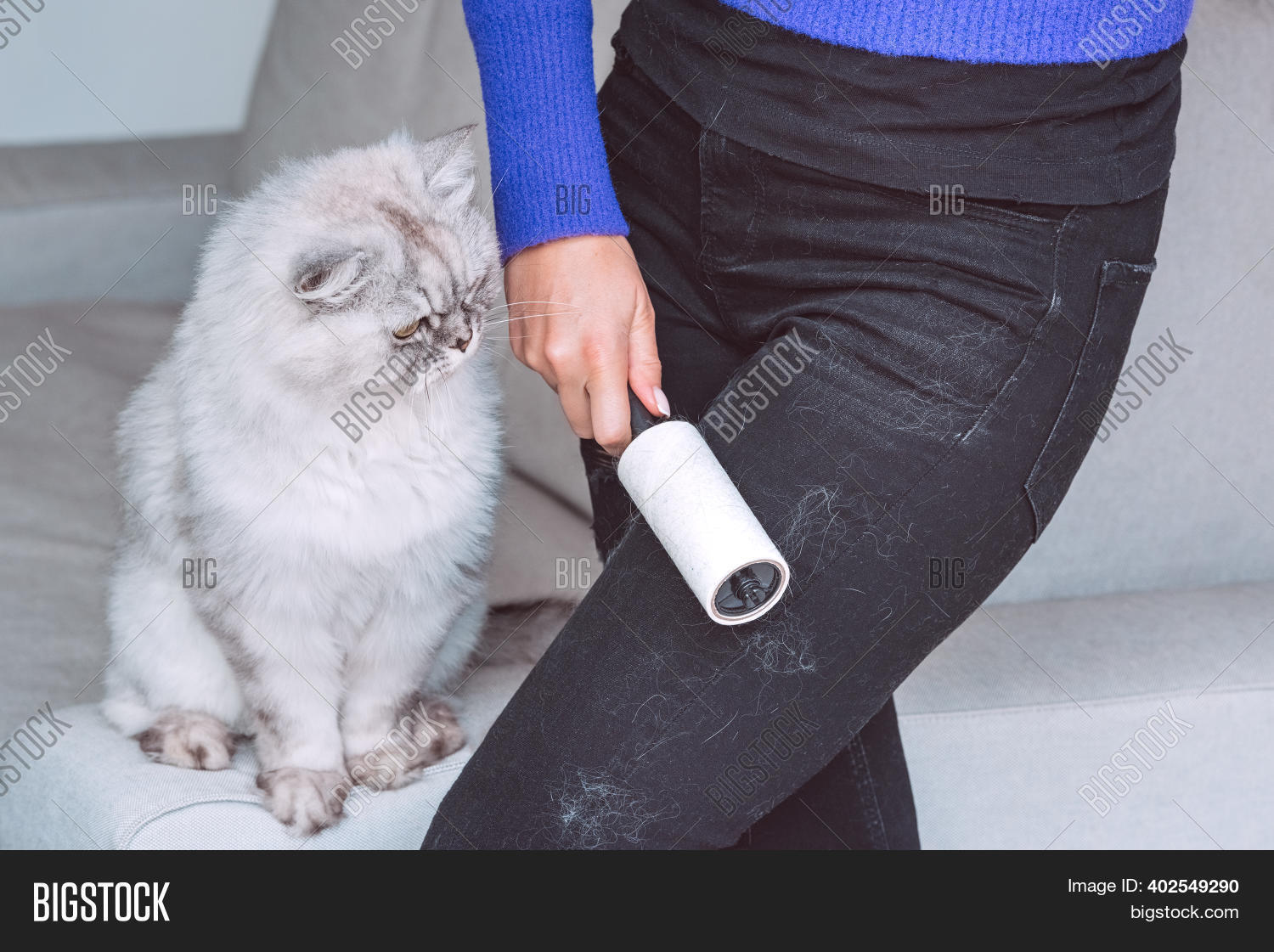 black cat black clothes