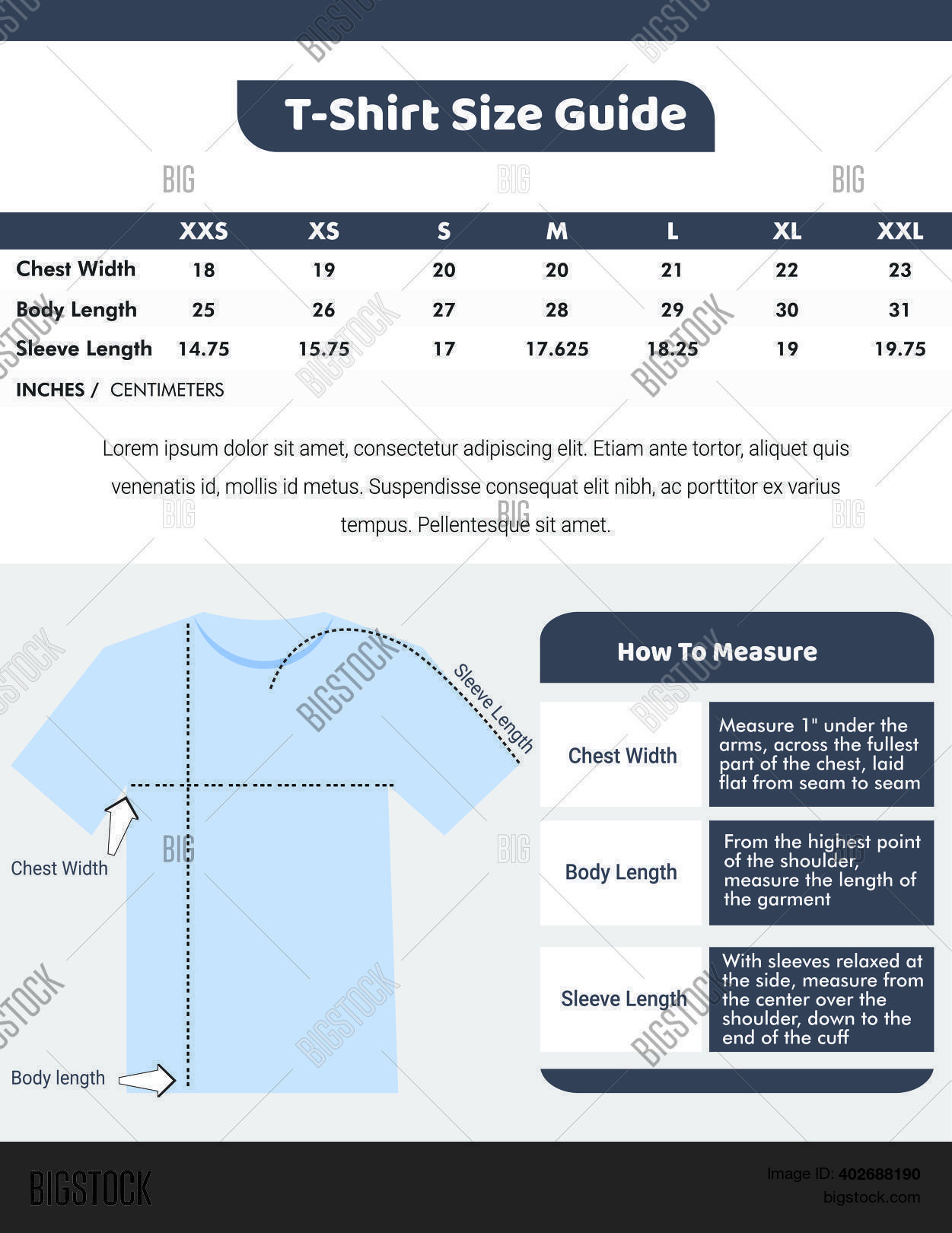 Tshirt Sizes Guide Vector & Photo (Free Trial) Bigstock