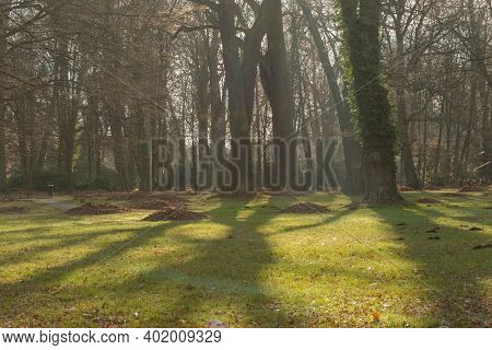Iłowa, A Small Town In Western Poland. There Is A Historic Manor Park In The City. The Czerna Mała R