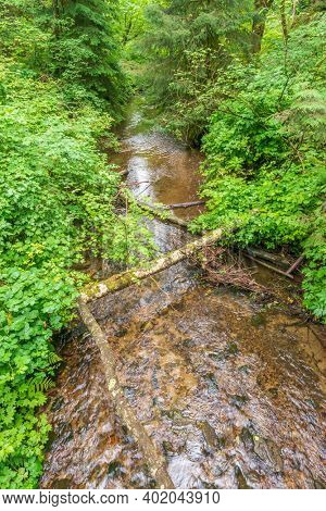 Majestic mountain river in Canada. Traboulay Port Coquitlam Park. Vancouver.