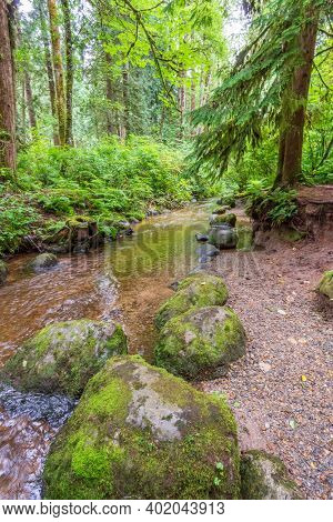 Majestic mountain river in Canada. Traboulay Port Coquitlam Park. Vancouver.