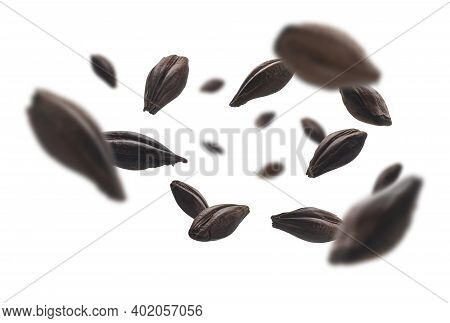Roasted Rye Malt Grains Levitate On A White Background