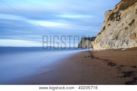 Morcegos cabeça Dorset