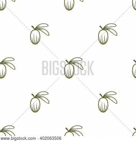 Shea Nut Green Seamless Pattern On White Background. Vitellaria Beauty And Cosmetics Ornament.