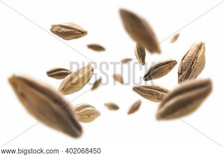 Barley Malt Grains Levitate On A White Background
