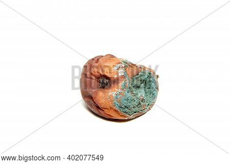 One Mouldy Pear. Rotten And Uneatable. Isolated On White Background.