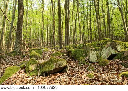 The Picture From The Nature Park In Czech Republic Called \