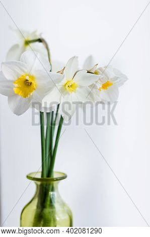 Bunch Of Daffodils In Vase Isolated On White Background.home Interior With Easter Decor.bouquet Of F