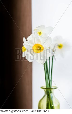 Bunch Of Daffodils In Vase Isolated On White Background.home Interior With Easter Decor.bouquet Of F