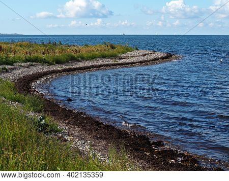 Typical Beautiful Natural Danish Coastline Beach Landscape In The Summer Fyn Funen Denmark
