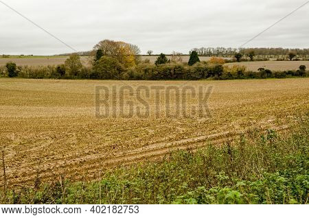 View Across Arable Farm Fields Near Dummer, Basingstoke, Hampshire On A Cloudy Autumn Day.