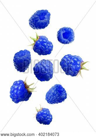 Falling Fresh Tasty Blue Raspberries On White Background