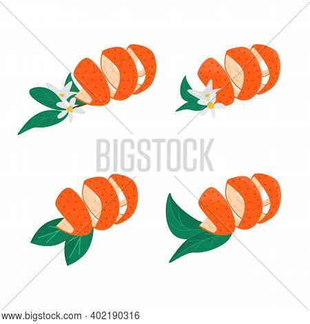 Set Of Orange Fruit Peel With Leaves And Blooming Flower. Collection Of Tangerine Zest For Cocktails