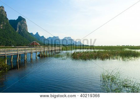 Træ bro i lotus lake i khao sam roi yod national park, thailand