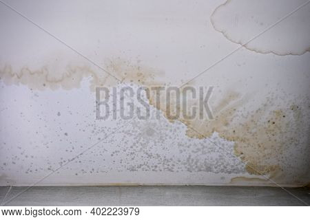 Brown Stain Of Indoor Mould And Fungus On The Ceiling.  Effects Of Flooding On The Wall.