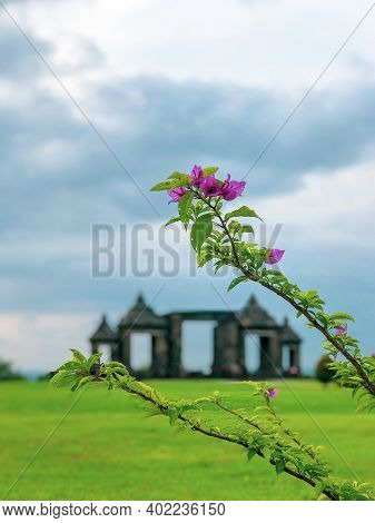Flowers With The Background Of Ratu Boko Gate Yogyakarta Indonesia