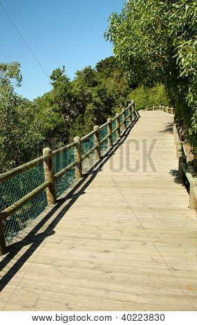 Wooden Path along Boulders Beach Penguin Colony near Cape Town, South Africa