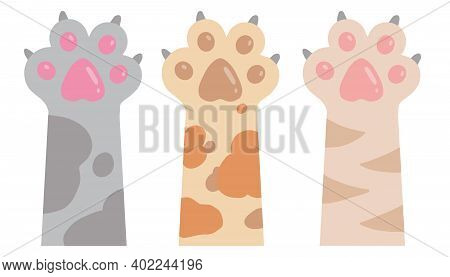 Cute Cartoon Style Vector Drawings Of Cat Arms And Paws With Extended Claws In Different Fur Colors