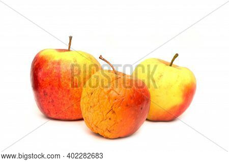 A Picture Of Three Ordinary Apples, Without Modifications..as You Know From The Shop. The Picture Sh