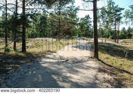 A Picture From The Curonian Spit (kursiu Nerija) National Park In Lithuania. The Footpath In The For