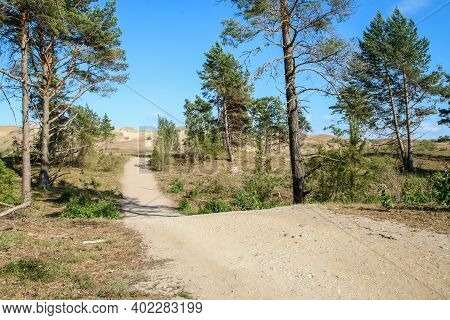 A Picture From The Curonian Spit (kursiu Nerija) National Park In Lithuania. The Footpath In The For
