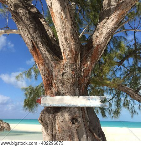 Empty Road Pointer With Copy Space And Tropical Sea With Palm Tree