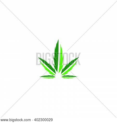 Cannabis Leaf Logo Design Vector Template