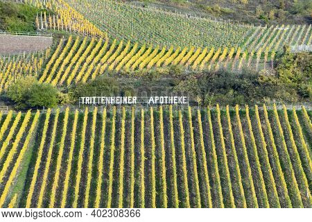 Trittenheim, Germany - November 7, 2020: Vineyard With Name Trittenheimer Apotheke In Sunset After H