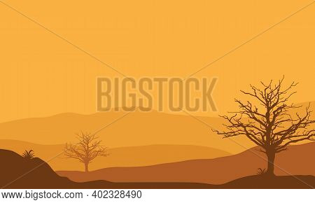 Beautiful Views In The Afternoon As The Sun Goes Down. Vector Illustration
