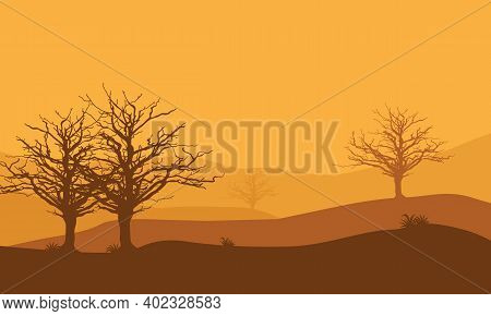Wonderful Desert Scenery In The Afternoon. Vector Illustration