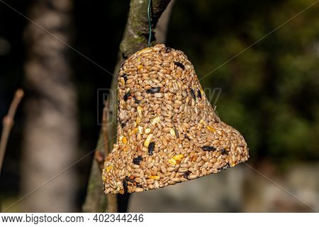 Bell From Various Grains, A Delicacy For All The Birds In The Garden