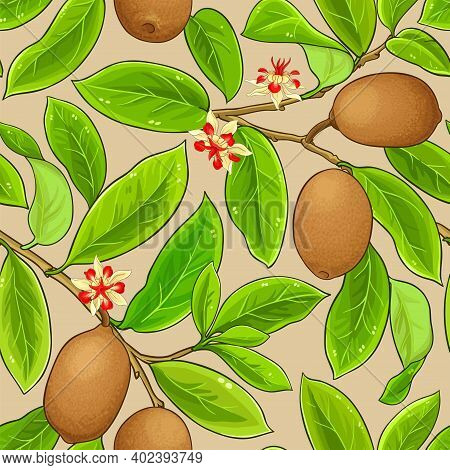 Cupuacu Branches Vector Pattern On Color Background