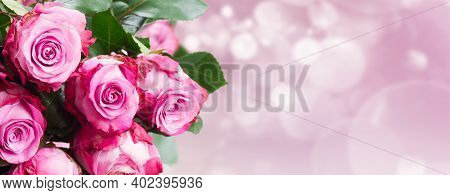Pink Rose Flowers Close Up, Wedding Or Valentines Day Benner