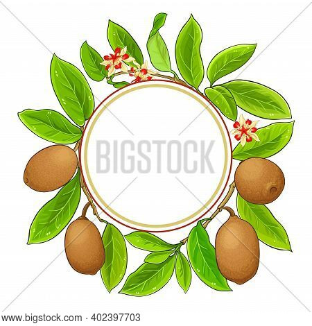 Cupuacu Branches Vector Frame On White Background