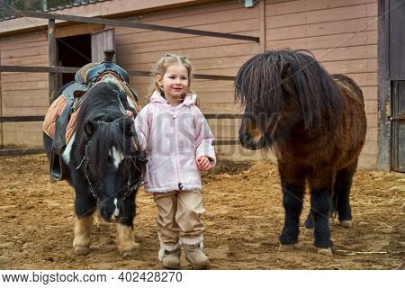 Girl And Pony. Child And Horses On Farm Paddock. Equestrian School. Hippotherapy
