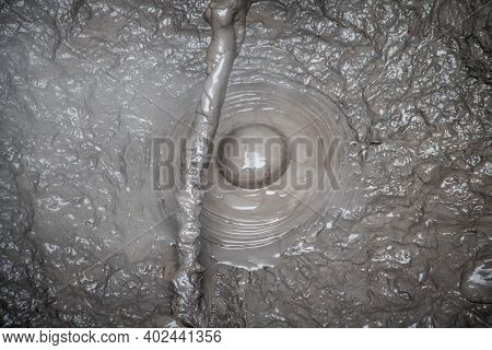 Bubbling Hot Mud Pool In Rotorua, North Island Of New Zealand.