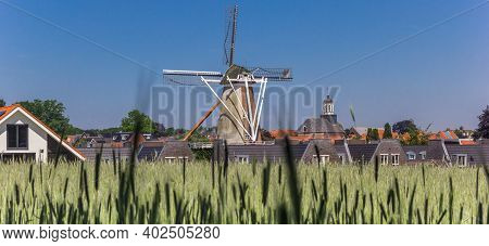 Panorama Of The Historic Windmill And A Field Of Rye In Ootmarsum, Netherlands