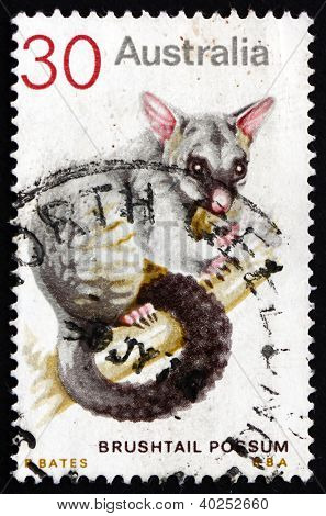 Postage stamp Australia 1974 Common Brushtail Possum